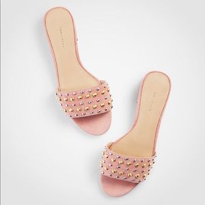 Ann Taylor Fleur Suede Studded Slide Sandal Sz 7.5